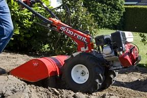 Tuinfrees klein