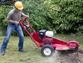 Boomstronkfrees benzine