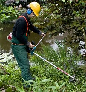 Motorzeis/Bosmaaier Benzine